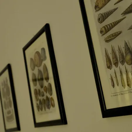 Hortus Apartamento Florencia